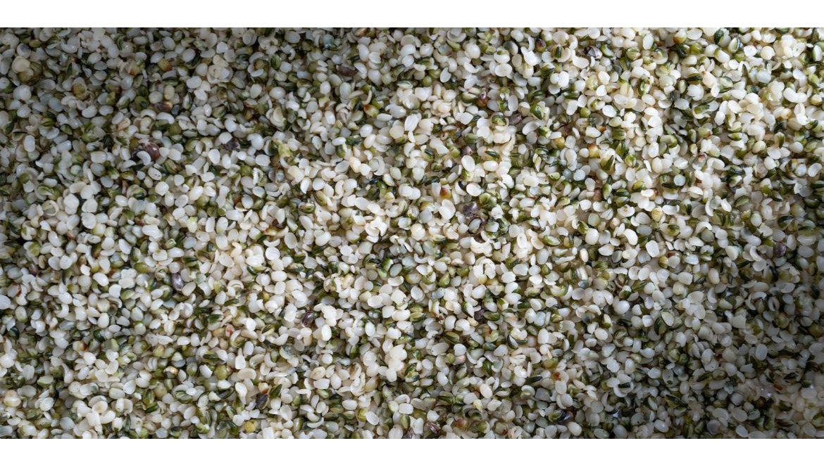 Les Graines de Chanvre Décortiquées : Les Bienfaits